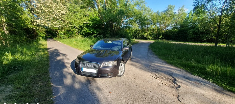 Audi A3 cena 21500 przebieg: 235000, rok produkcji 2006 z Połaniec małe 121